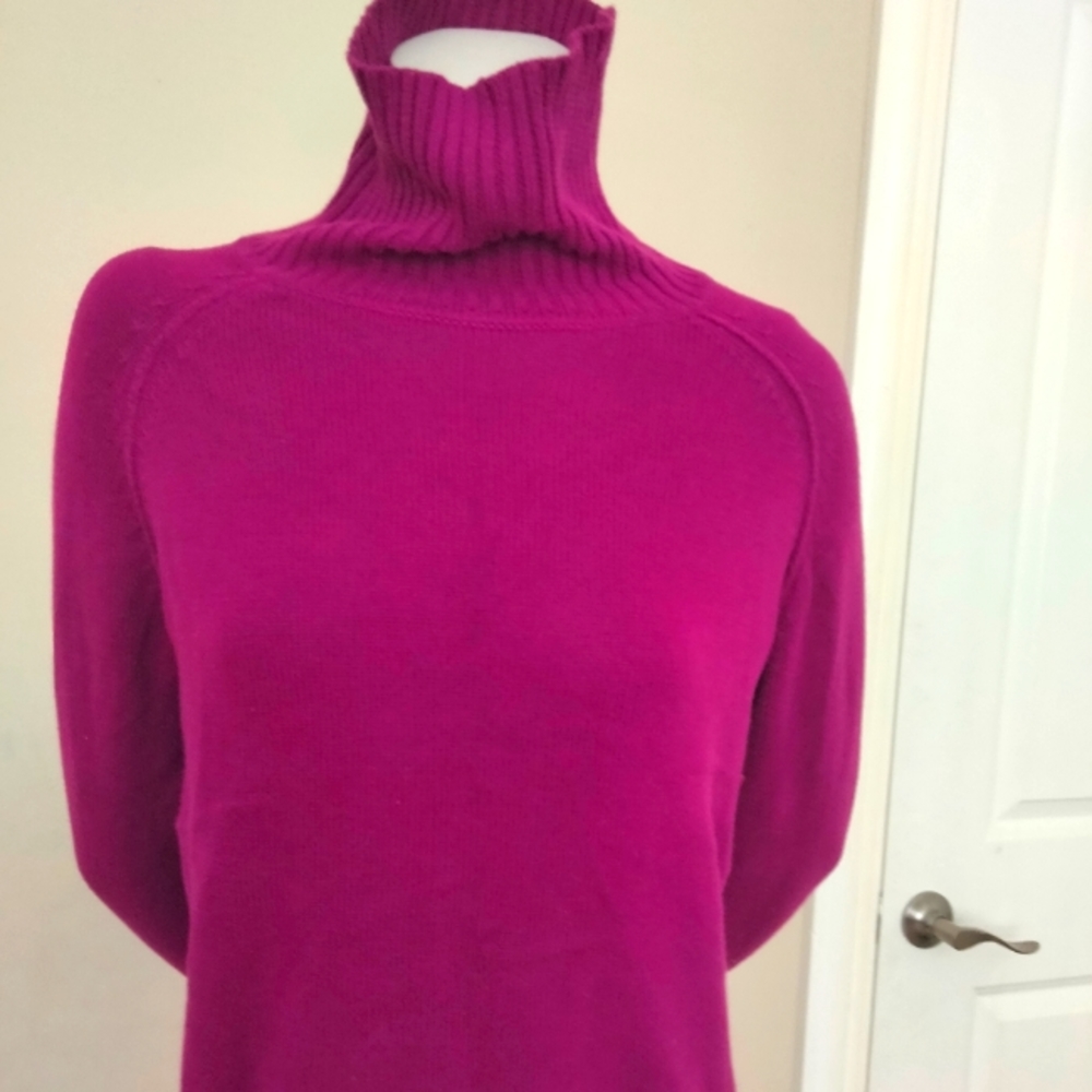 Jeanne Pierre Turtle purple sweater